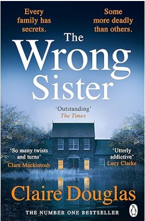 The Wrong Sister summary image