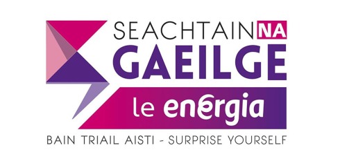 Seachtain na Gaeilge summary image